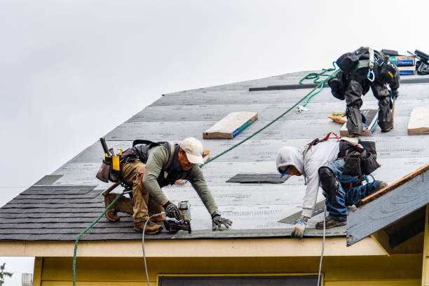 Professional Gutter Installation technician working in Douglas, AL